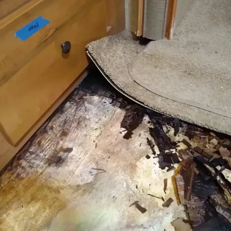 Wood Floor Water Damage in Margaret, AL